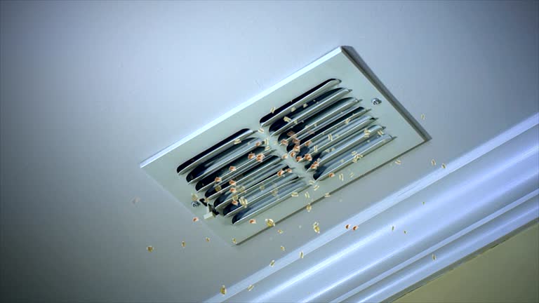 HVAC System Cleaning in Tool, TX