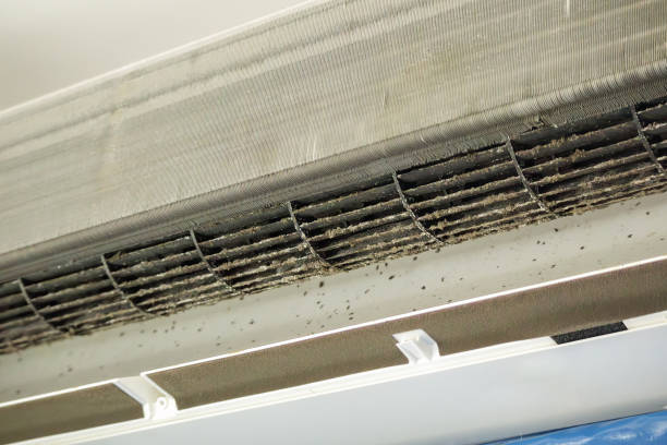 Best HVAC Duct Inspection Services  in Tool, TX